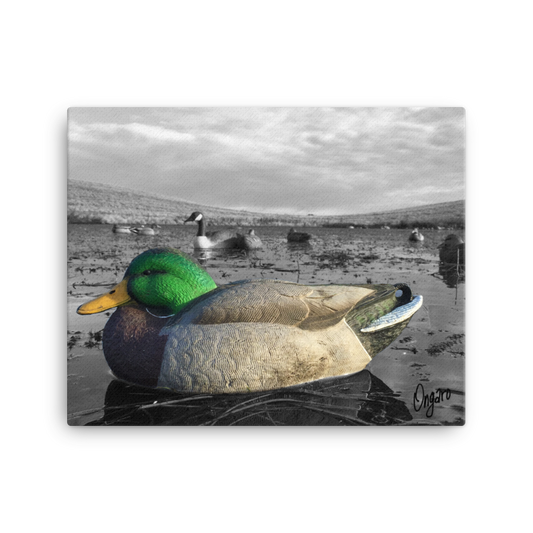 Working Decoys Canvas 2